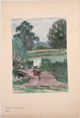 Бехтеев Владимир Георгиевич. Озеро «Сенеж»